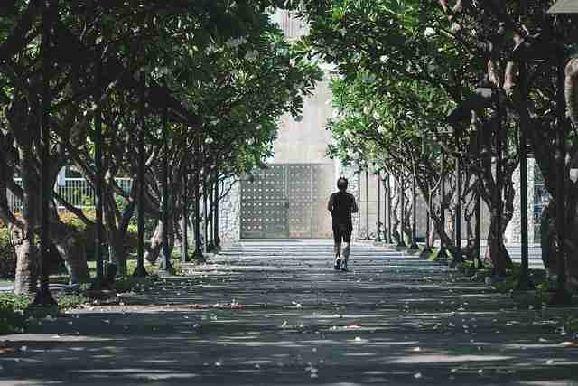 扩展·底层逻辑｜蘑菇视频ios｜氛围感｜深层解构，蘑菇视频解析